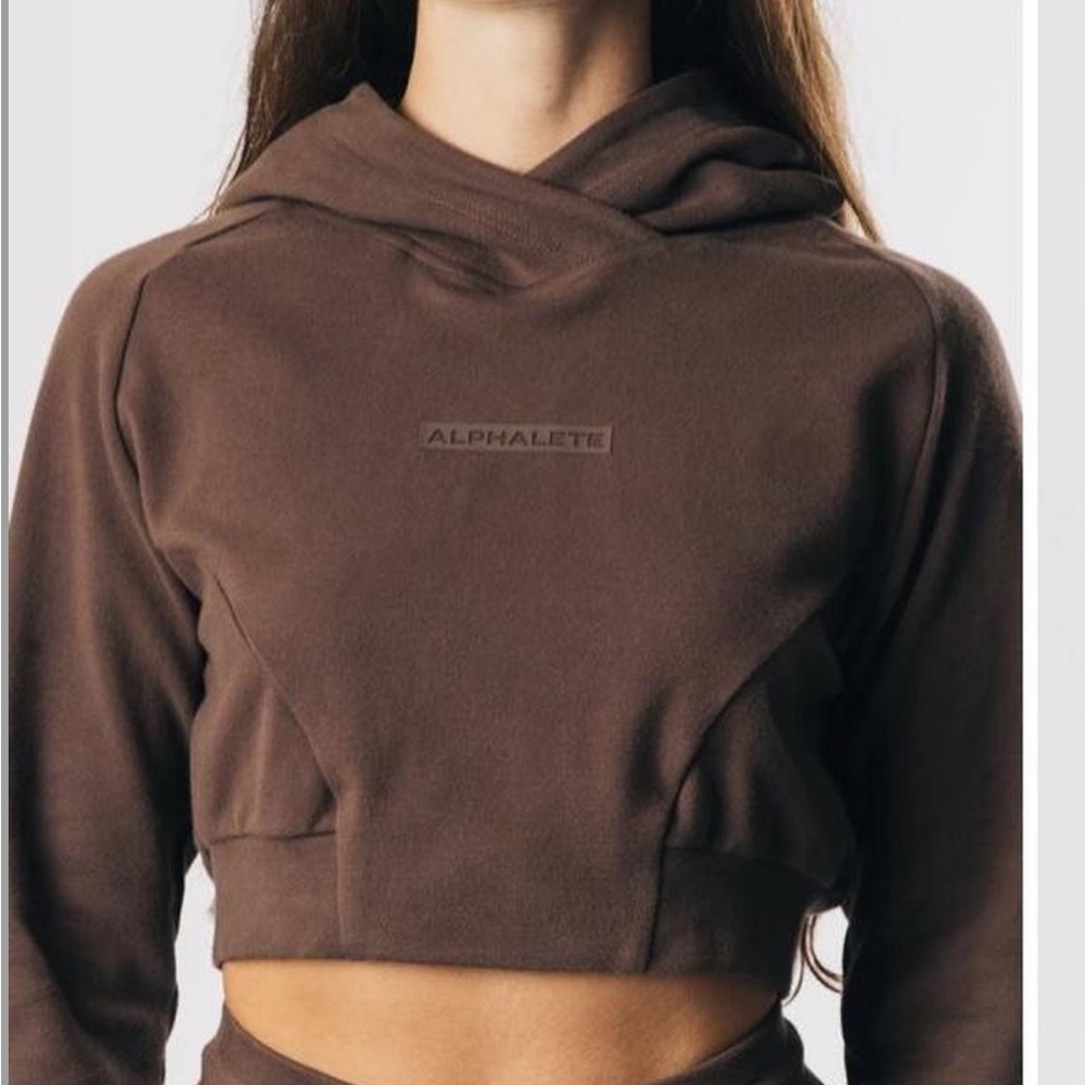 Alphalete Cropped Hoodie